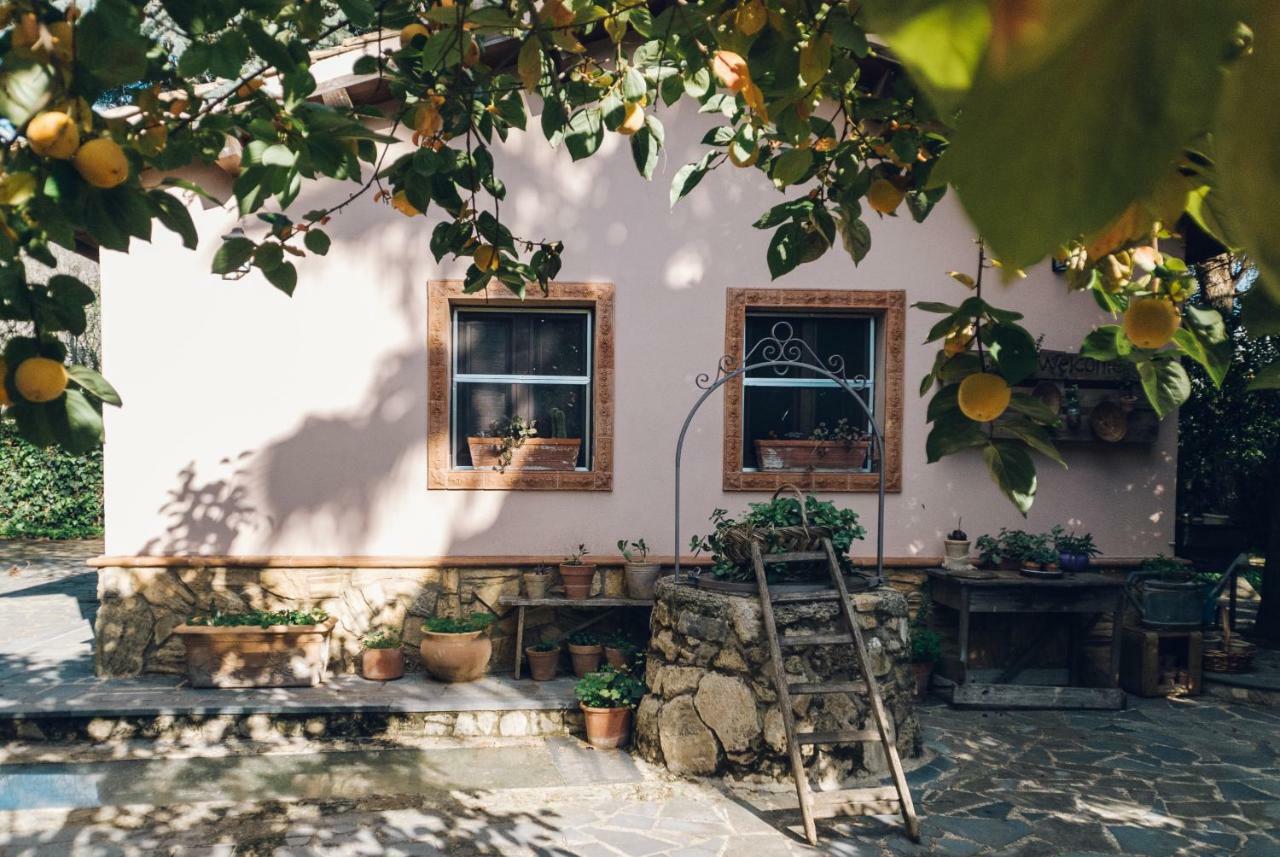 Villa Jacona Caltagirone Εξωτερικό φωτογραφία